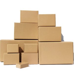 Shipping Mailer Box